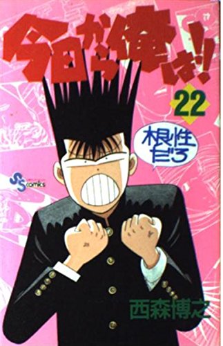 今日から俺は 22 (少年サンデーコミックス)