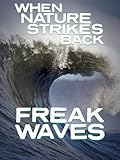 When Nature Strikes Back: Freak Waves