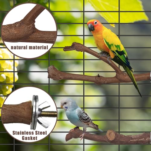 Image of 6 PCS Natural Bird perches for Budgies Parrot perches for Medium Birds Branch Perches Parakeet Bird Platform Stand for Small Parakeets, Budgies, Cockatiels, Conures, Macaws, Finches