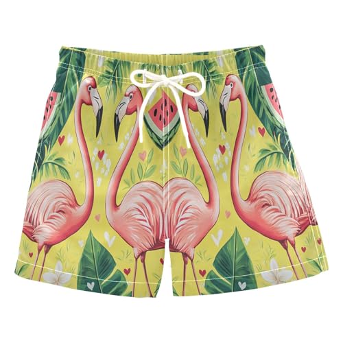 Jucciaco Boys Beach Board Shorts Flamingo Watermelon Cool Quick Dry Swim Trunk Swimwear for Kids