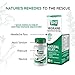 BHI Migraine Natural Headache & Migraine Relief 17 Powerful Multi-Symptom Homeopathic Active Ingredients - Non-Drowsy Remedy Helps Relieve Pain, Tension & Throbbing in Head, Eyes & Neck - 100 Tablets