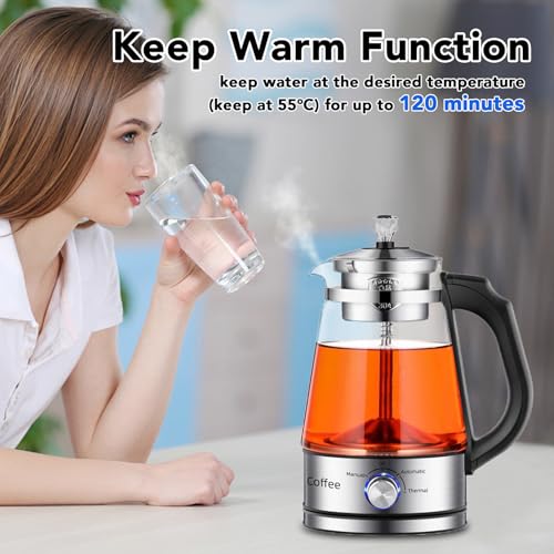 Tetera eléctrica de vidrio 1.2L 600W con infusor y control de temperatura miniatura 2