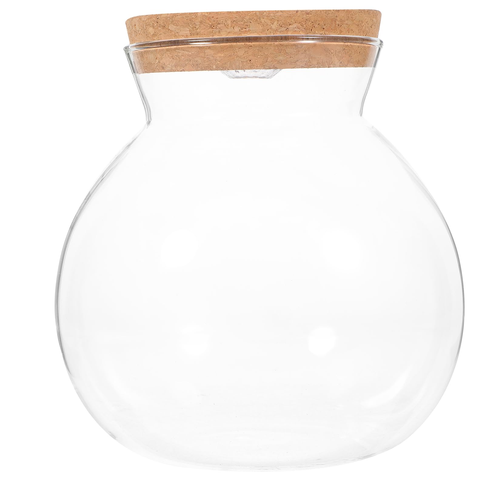 POPETPOP Led Light Ecological Bottle Fish Tank Glass Terrarium with Diy Micro Landscape for Home Decoration 6.3 Inch Borosilicate Glass Bottle with Lid