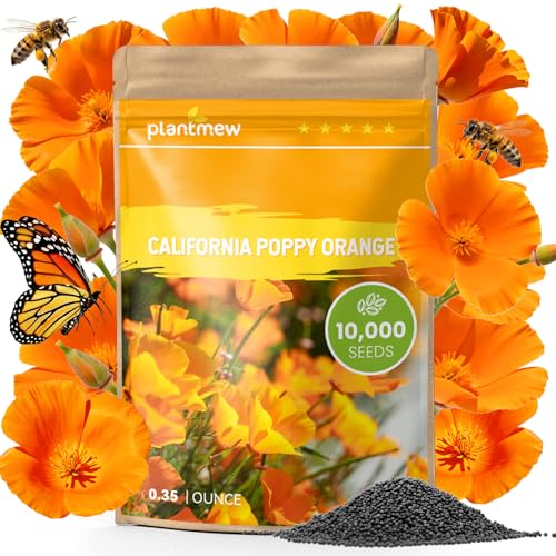 California Poppy Seeds for Planting, Orange Poppy Flower Seeds, Bulk 10,000+ Seeds (0.35 oz), Easy...