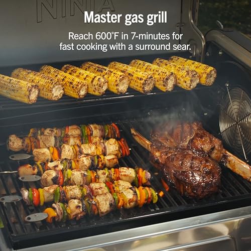 Image of Ninja FlexFlame, Grill and Smoker, Electric and Propane Grill, Roaster, BBQ Grill, 5-in-1 Cooking System, 3 Burner, Digital Control, Outdoor Cooking, Griddle, Pizza Maker, Stainless Steel, PG301