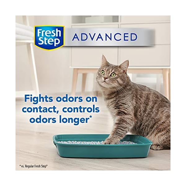 Fresh Step Advanced Clumping Cat Litter Gourmetian
