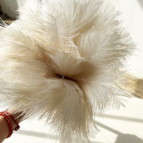 Image of 19.7 Inch Ostrich Feather Duster - Soft Dusting Brush for Home, Office, and Furniture Cleaning (Off White)