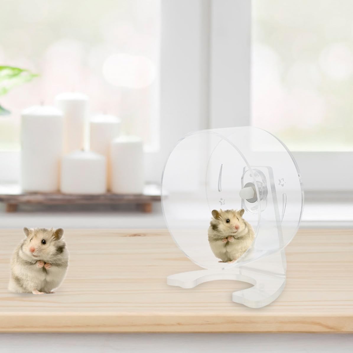 COHEALI Roue d'exercice Silencieuse pour Hamster en Acrylique avec Support, Intérieur Spacieux et Installation Facile pour Cage d'animaux Petits comme Souris