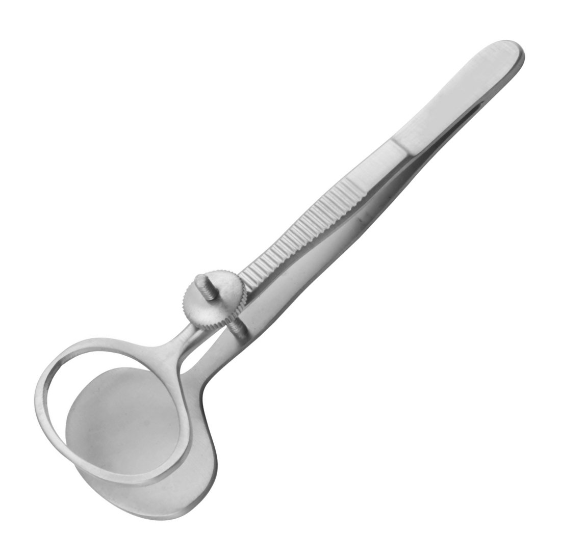 Desmarres Chalazion Forceps 26mm by SurgicalOnline