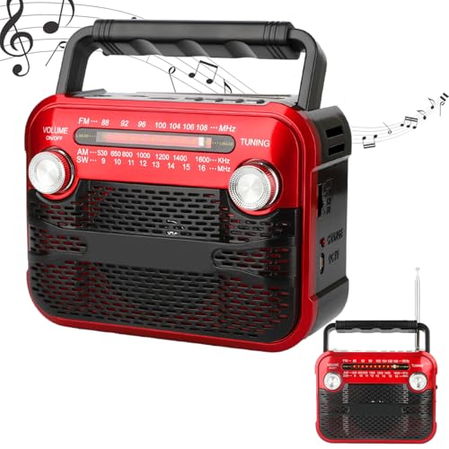 birdusunce VCWI,3W AM FM |[^uWI - FM/AM/SW1-6/USB/TF/BT tbVCg `l Cۗ\vC[ AEghAToCop