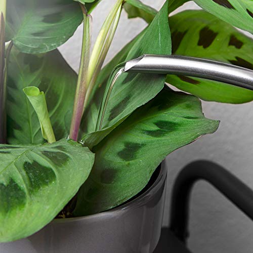 Homarden 30oz Metal Indoor Outdoor Plant Watering Can for House Plants (Stainless Steel) - Thumbnail 4