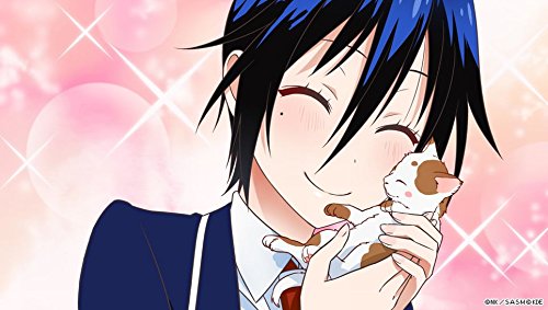 ニセコイ ヨメイリ 初回生産版特典 ヨメイリ シナリオのダウンロードコード同梱 Amazon Co Jp限定特典 ユメコイ シナリオの ダウンロードコード Ps Vita用各ヒロイン壁紙付 14 11 27注文分まで Amazon De Games