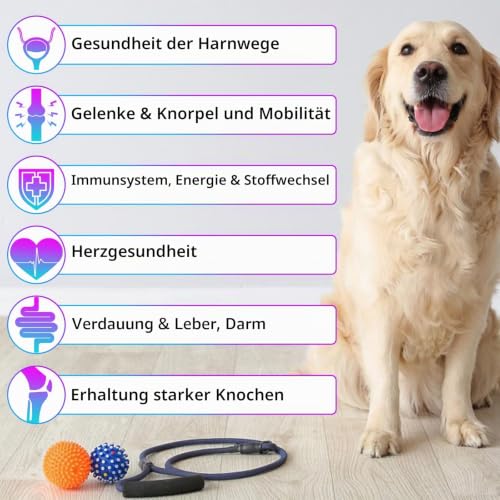15-in-1-Multivitamintropfen für Hunde, Vitamine und Nahrungsergänzungsmittel für Hunde, natürliche Multivitamine und Mineralien– Glucosamin, MSM Hüfte und Gelenke, Immunsystem