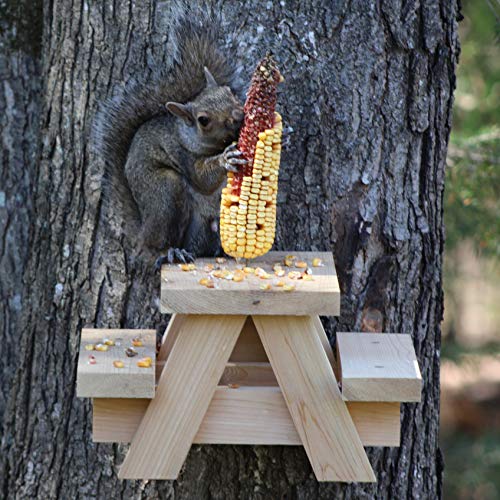 image for Nutraffect Squirrel Picnic Table Feeder - Large Squirrel Feeders for O