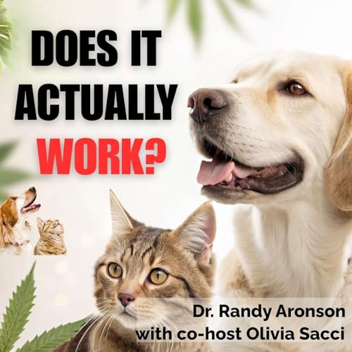 The TRUTH About CBD for Pet Pain & Anxiety