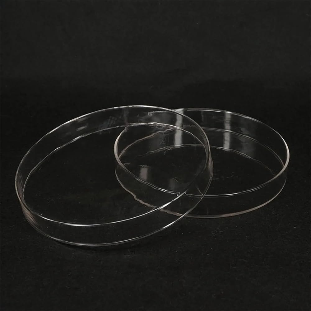 Attrezzature e forniture di laboratorio Piastra di coltura Petri in vetro da 200 mm con coperchio for laboratorio