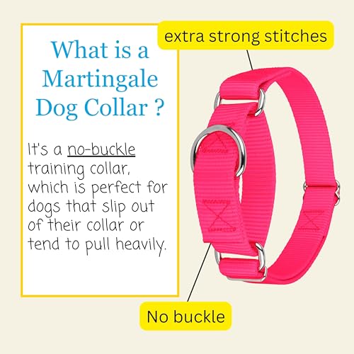Country Brook Petz - Martingale Dog Collar - Heavy-Duty Training Collar with No Buckle - Service Dog Collar for All Pups - 10+ Warm Colors (Hot Pink, 1 Inch, Medium) - Image 6