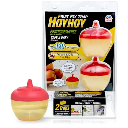 HOY HOY Fruit Fly Trap – 2 Traps (1 Pack) – Attracts & Kills Fruit Flies, 120-Day Supply, Powerful Fast-Acting Lure, Works Great in Kitchen, Sink, and Garage