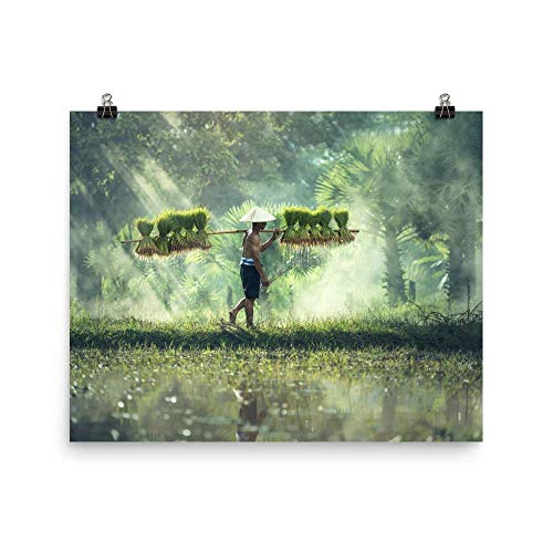 Reloj Citizen AR1133-40A Stiletto Eco-Drive (Solar) extraplano