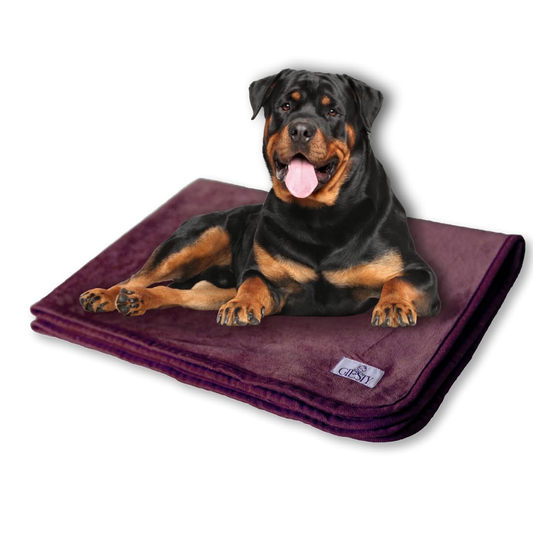 Manta para Perros, Manta Suave para Mascotas, Manta Impermeable para Perros, Lavable a máquina, Protector de sofá Reversible (Lila, XXL (203x148 cm))