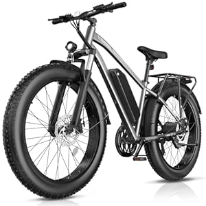 Electric Bike for Adults, 1000W Peak 25MPH 60Miles Ebike,48V Electric Bike for Adults, 1000W Peak 25MPH 60Miles Ebike,48V