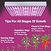 Skylaxy LED Grow Light, Plant Grow Lights for Indoor Plants Full Spectrum 75W Panel Growing Lamp with Timer for Seedling Veg and Flower (2 Pack)