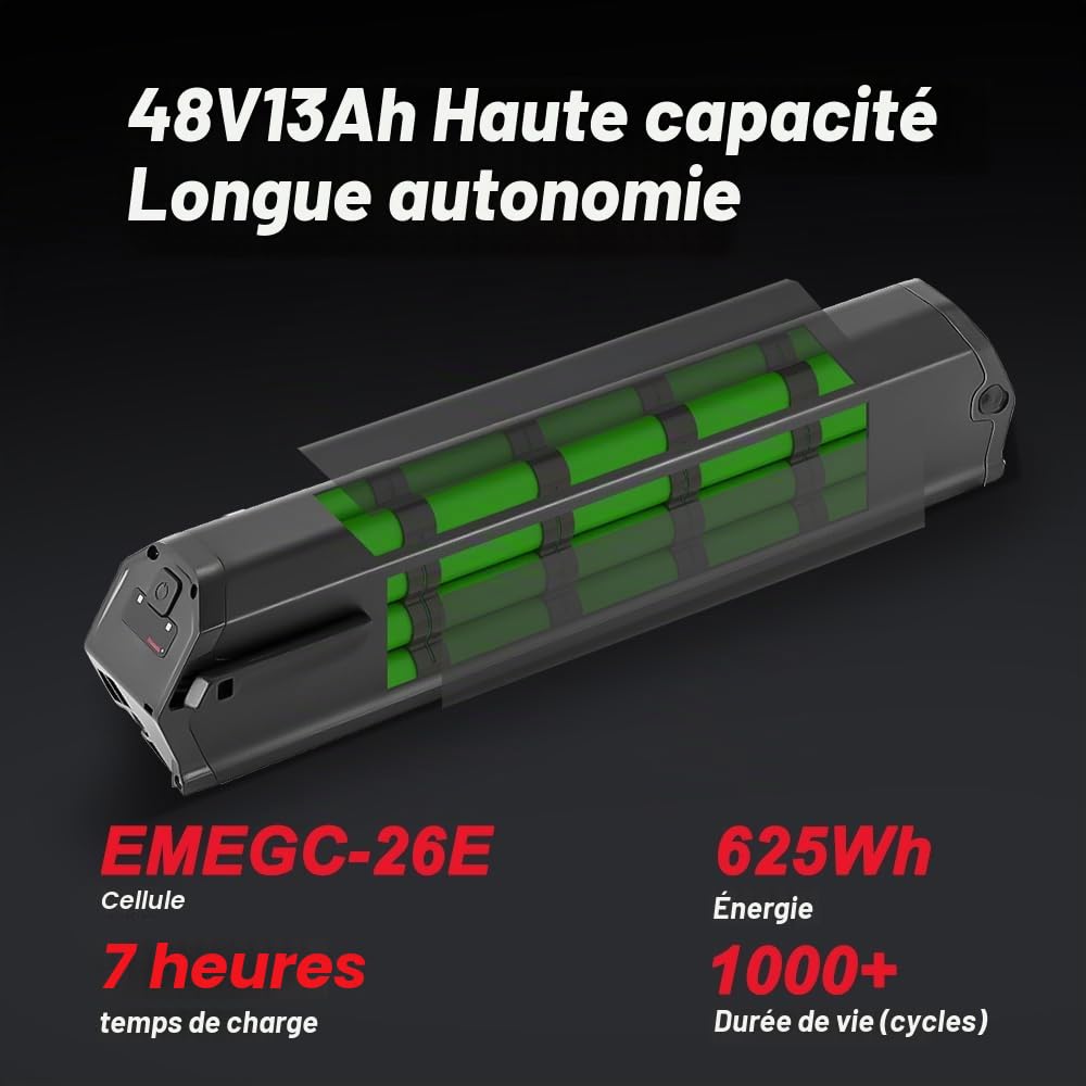 SEASON Dorado Plus 65 Ebike Batterie 36V 13Ah / 48V 13Ah 16Ah sans Chargeur - Batterie de Rechange Semi-Intube REENTION pour E-Bikes Pedelec NCM, LLobe, Fitifito, DeHawk