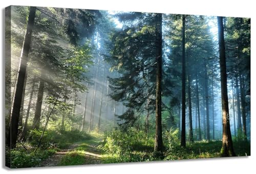 AFLE Nature Tree Wall Art Canvas for Living Room, Forest Decor Aesthetic Vintage Posters & Prints, Bedroom Home Classroom Shelf Decor, 16x24 Inches, Unframed