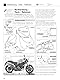Ducati Monster: ab Modelljahr 2005 (Reparaturanleitungen)
