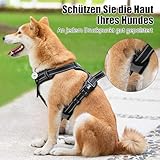 PoyPet No Pull Hundegeschirr, reflektierendes Westengeschirr mit 2 Leinenbefestigungen und einfachem Steuergriff für kleine mittelgroße Hunde (Grau, S (1er Pack))