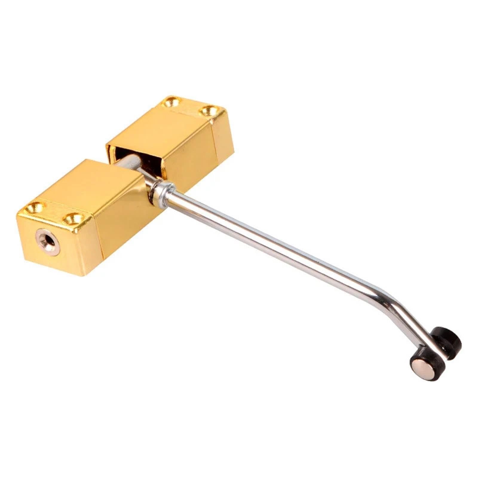Ferme Porte ferme-porte inoxydable 40KG