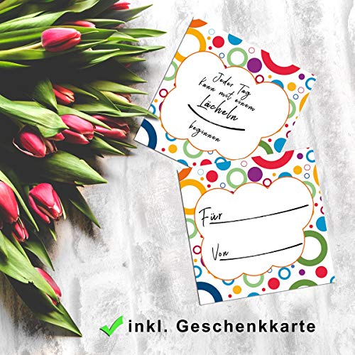 TRIOSK Hunde Schild Warnung Verbotsschild lustig mit Spruch Kacken Verboten Warnschild Hinweis Haufen entfernen Hundeschild Sprüche Geschenk für Hundefreunde Blechschild 30x20 cm groß