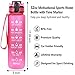 Great Gear Fruit Infuser Water Bottle 25 oz Leak Proof Flip-top Sport Water Bottle BPA-Free Tritan 25 Oz (Pink)