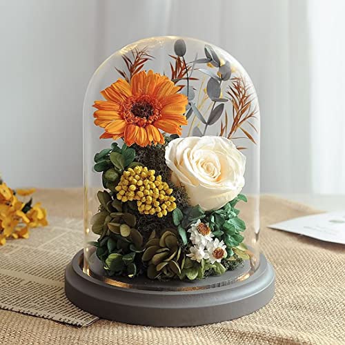 母の日 花 一輪の人気商品 通販 価格比較 価格 Com 母の日 花 一輪の人気商品 通販 価格比較 価格 Com