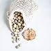 Jefferson Street Ceramics - Made in USA - Ceramic Pie Weights - Natural Clay Beads for Baking Blind Crust - 2.4 lbs with Mesh Bag