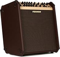 Bi-amplified 2-channel Acoustic Guitar/Vocal Amplifier with Bluetooth Connectivity Feedback Suppression Dual Effects Loops Built-in Effects Phantom Power
