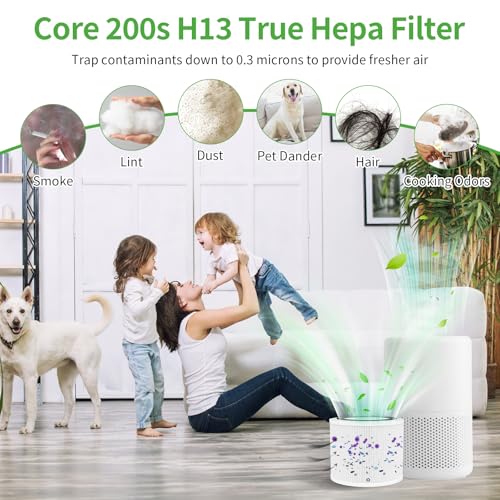 Image of Core 200S Replacement Filter Fit for Levoit Air Purifier, Core 200S-RF 3-Stage Activated Carbon True H13 HEPA Replacement Filter Compatible with LEVOIT Core 200 Air Purifier, 1 Pack