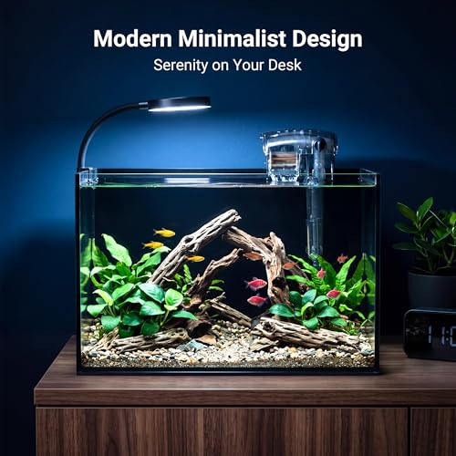 Image of Smart 2.8Gal Rimless Fish Tank Kit with LED Filter for Betta