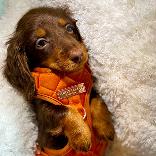 Fluffy Tailers Orange Velvet Adjustable Dog & Puppy Harness With Chest Strap for Small Medium & Teacup Sized Dogs - Image 3