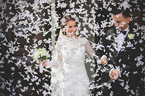 Konfettikanone Partydeco 4x XXL (60 cm) mit weißen Schmetterlingen