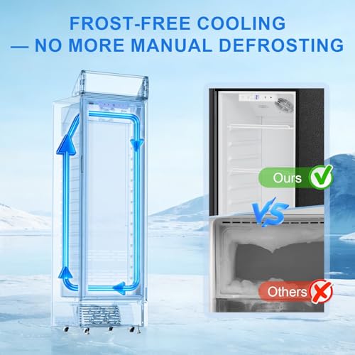 Image of Antarctic Star Outdoor Beverage Refrigerator, 9 Cu. Ft. Glass Door Drink Fridge, Commercial Display Refrigerator with 4 Adjustable Shelves, for Shops, Restaurants, Bars
