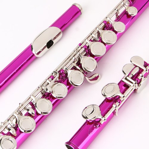 Image of Glory Closed Hole C Flute With Case, Tuning Rod and Cloth and Gloves pink