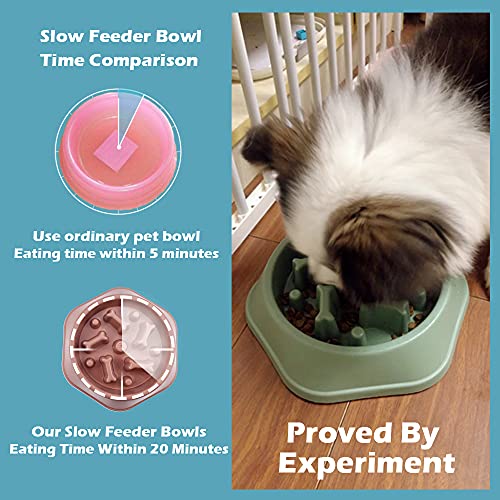 Image of Slow Pet Feeder Non Slip Bowl Durable Preventing Choking Healthy Design Bowl for Feeding Dogs & Cats (Pink, Bone)
