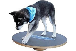 20" FitPaws® Wobble Board - Dog Balance Training Equipment