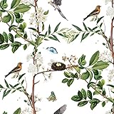 GaliGali Peel and Stick Floral Removable Wallpaper - Vinyl Waterproof Self-Adhesive Contact Paper for Home Decor - Bird Butterfly on The Tree 17.3'x118', NO.A06014H-3