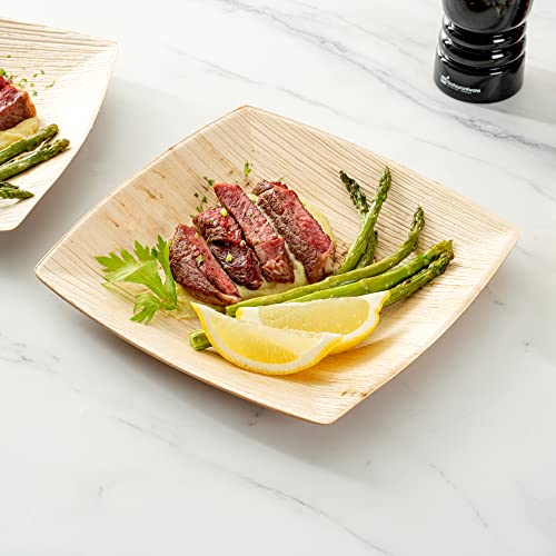 Image of Restaurantware Midori 8 x 8 Inch Large Square Palm Plates 100 Microwavable Palm Leaf Plates - Freezable Sustainable Areca Palm Leaf Plates Oven-Ready For Hot & Cold Foods