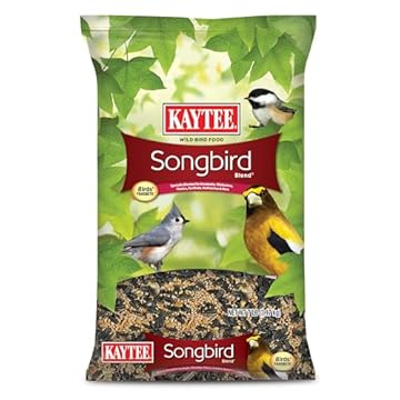 Bird Food for Backyard Chickadees: 5 Surprising Picks You’ll Love 1 bird food for backyard chickadees