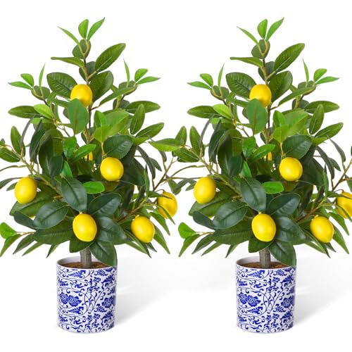 Lunmon 2 Pack Artificial Lemon Tree with Blue and White Vase 22 Inch Fake Faux Lemon Tree in Pot Amalfi Coast Party Table Centerpiece Plants Decor for Capri Mediterranean Wedding Birthday Party
