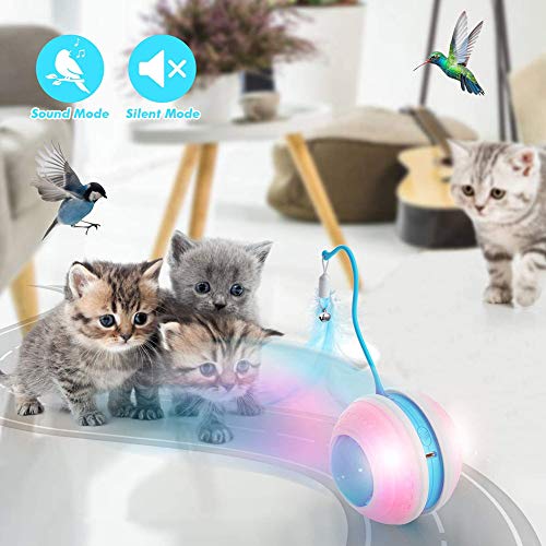 Brinquedos interativos de bolas para gatos com proteção de borracha destacável com luz sonora de pás