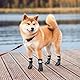 KOOLTAIL Hundesocken, rutschfest, mit Riemen, Traktionskontrolle, wasserdicht, Pfotenschutz (Grau, XX-Large)